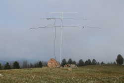 ant.jpg (364.05КБ)10344 просмотра ant.jpg